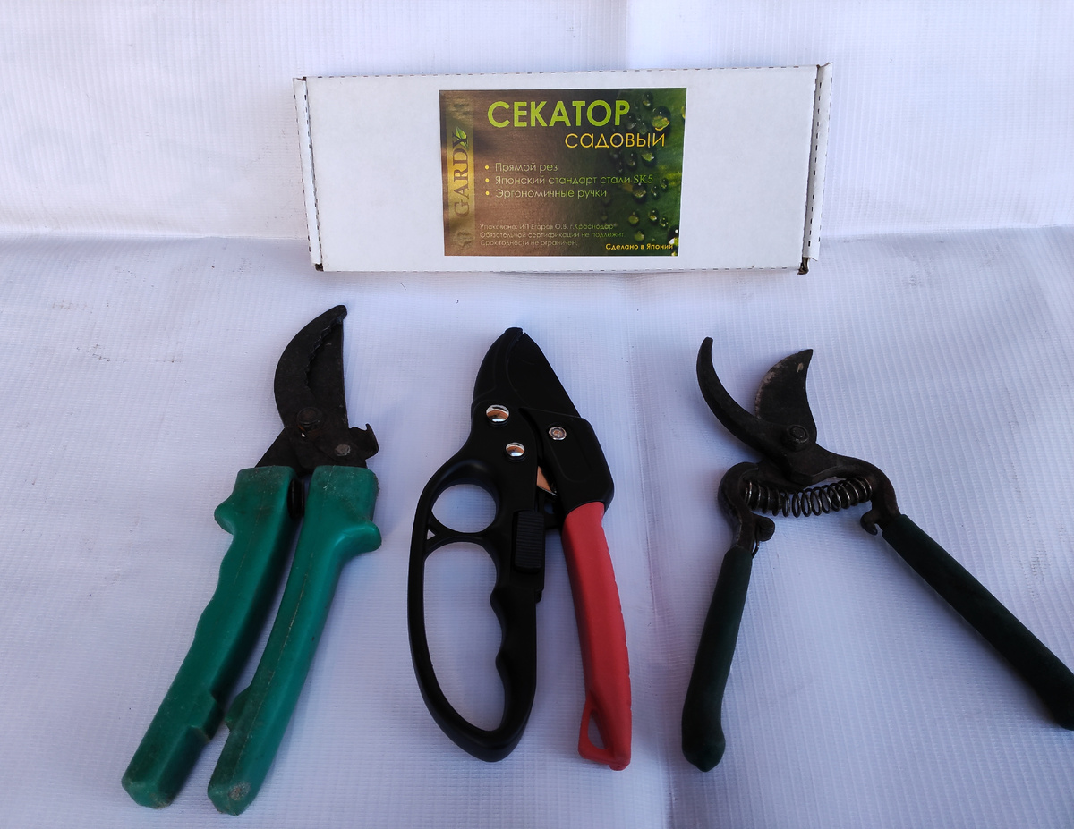 Фото автора