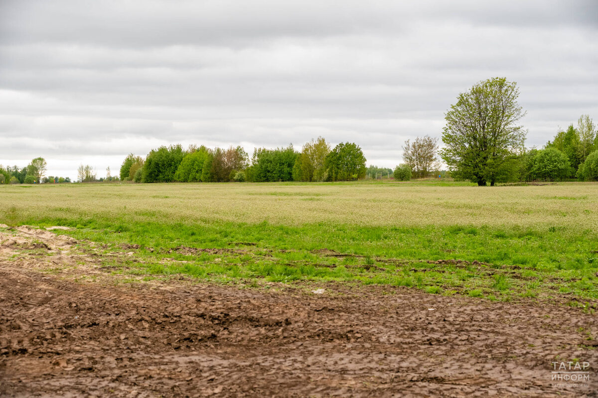 Фото: © Салават Камалетдинов / «Татар-информ»