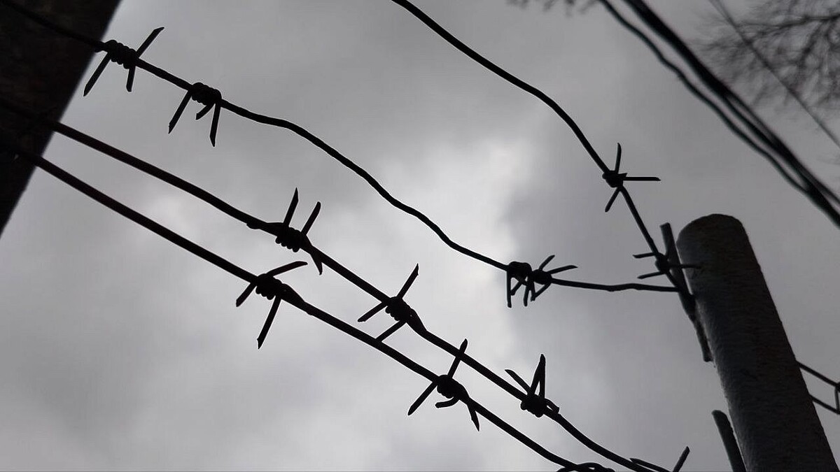    Фото: телеканал «Краснодар»