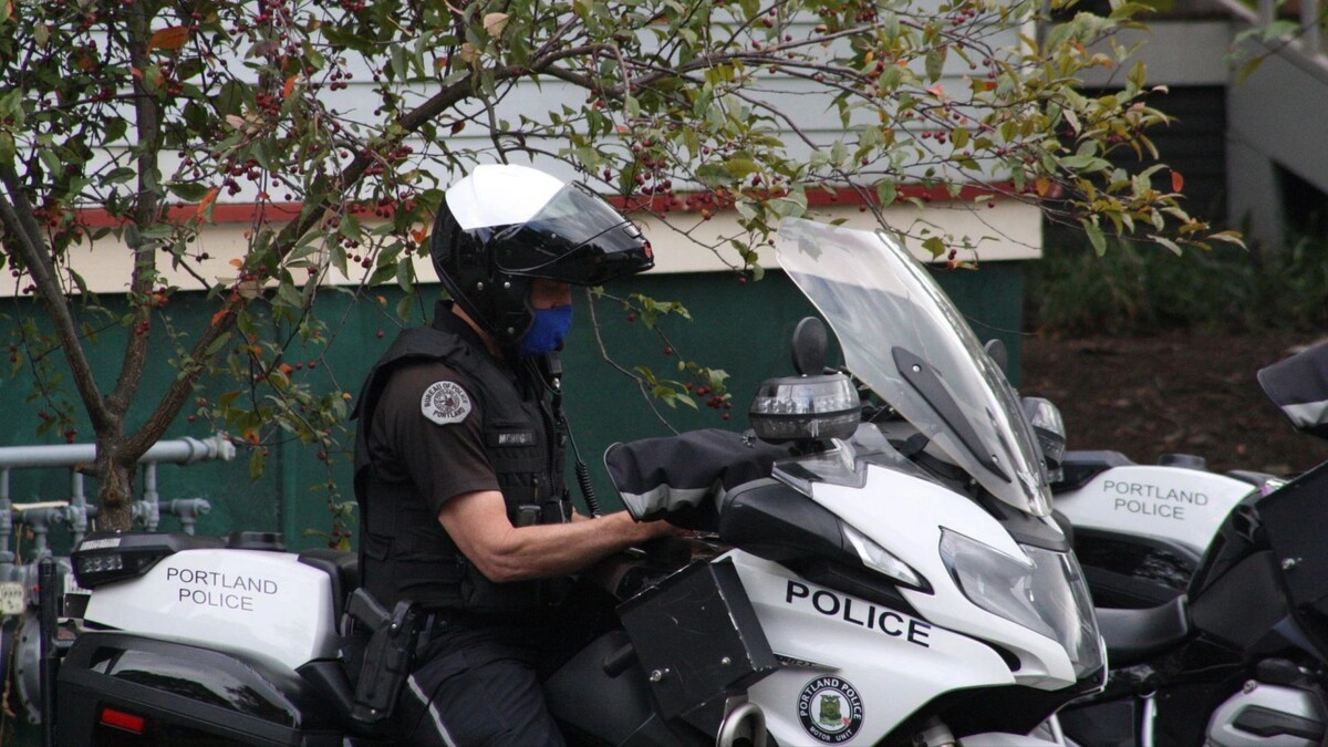    Фото: Robert P. Alvarez/Shutterstock/Fotodom