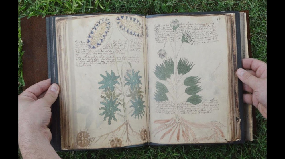    Тайна рукописи Войнича наконец раскрыта российскими учеными