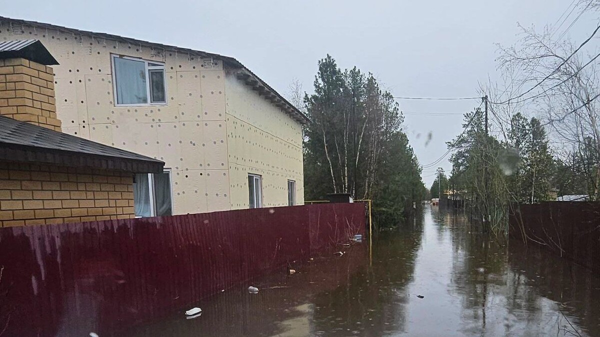    Фото: Светлана Лащ/«Ямал-Медиа»