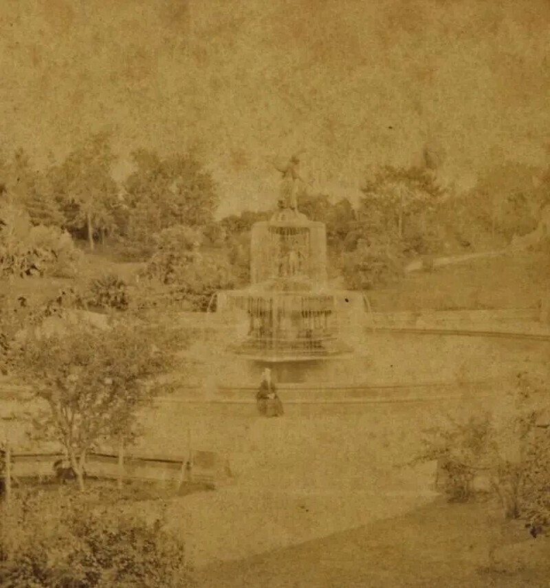    14 редких снимков Нью-Йорка 1870-х годов, когда Таймс-Сквер еще не существовало