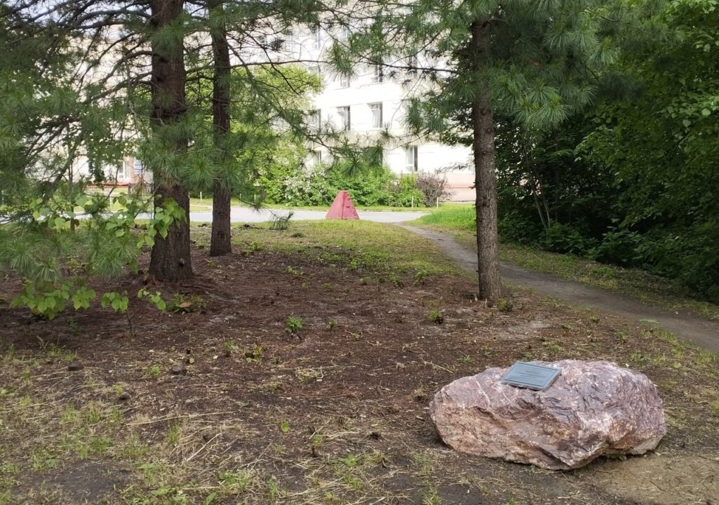    Фото: Телеграм-канал "Советник СО РАН"