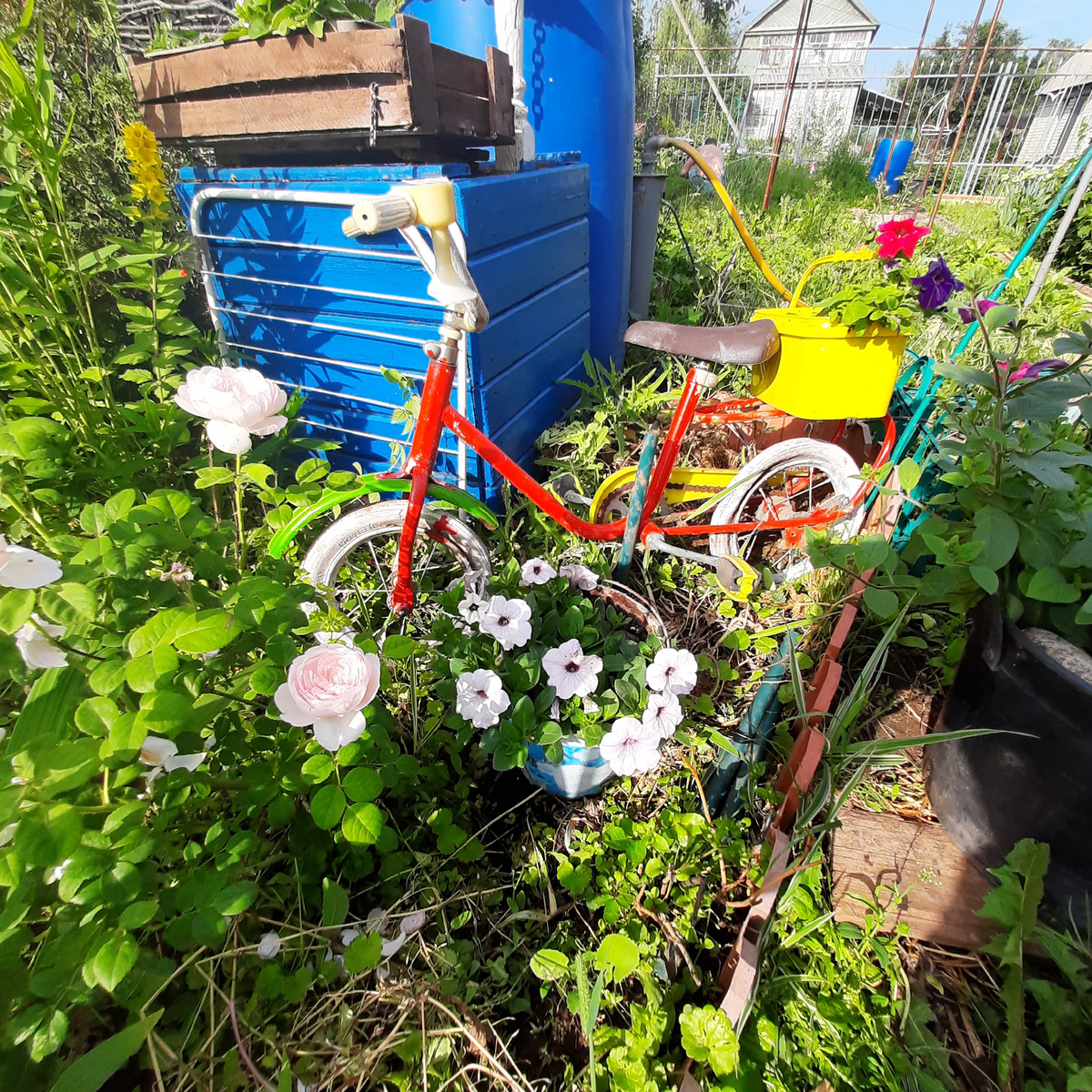 Велосипедек)))😊