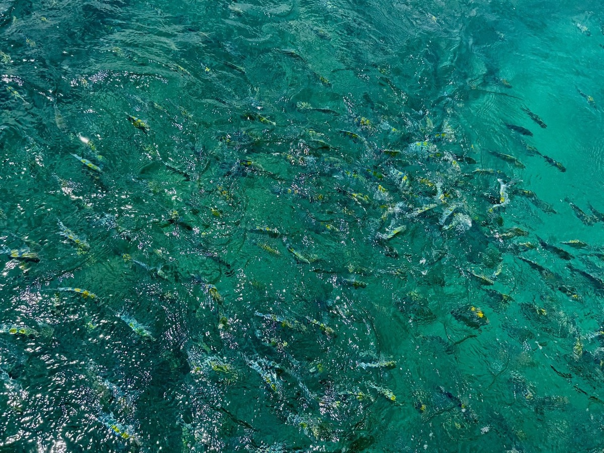 Фото с морской прогулки