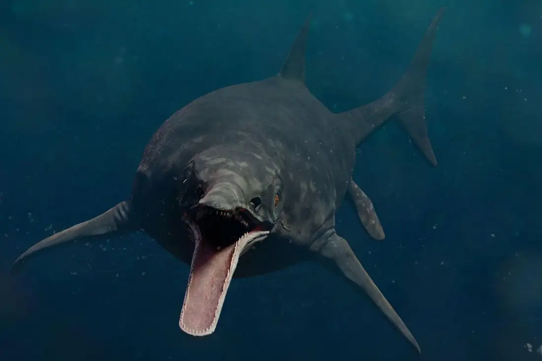 dotted zebra / Alamy Stock Photo