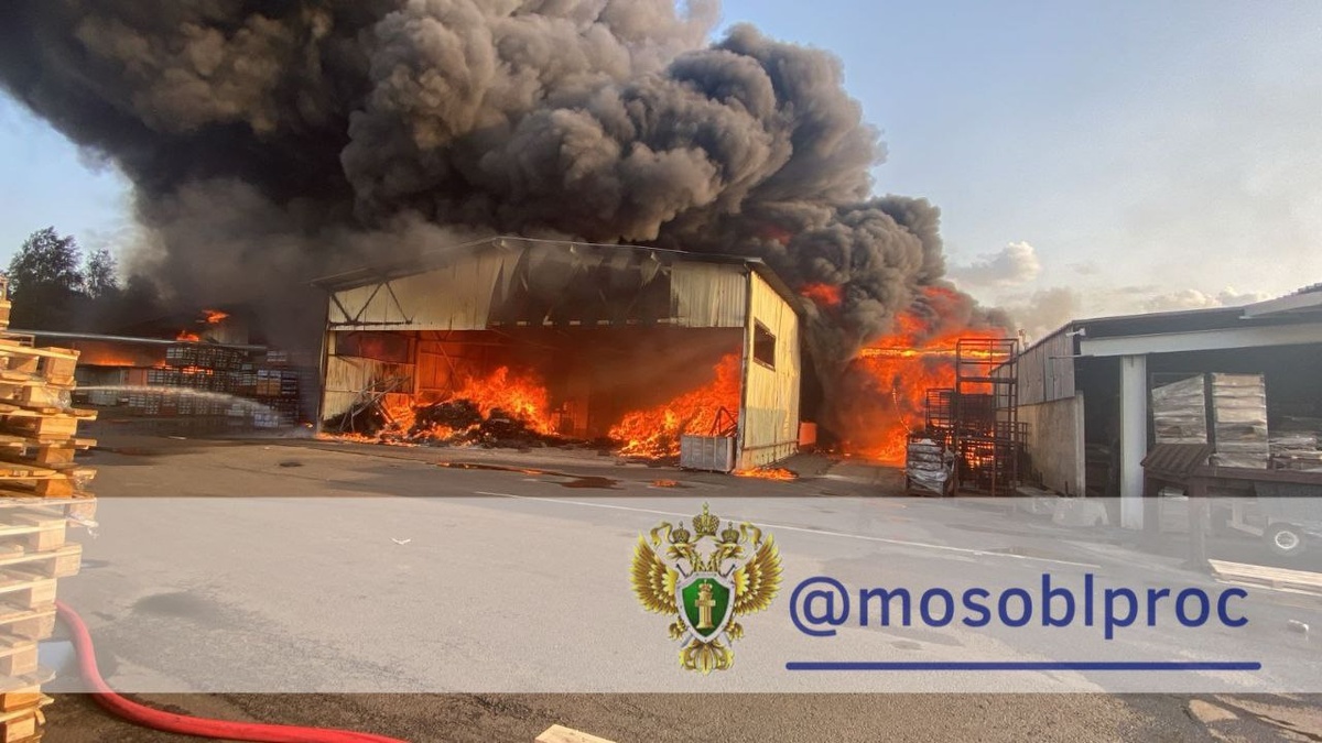 © Прокуратура Московской области