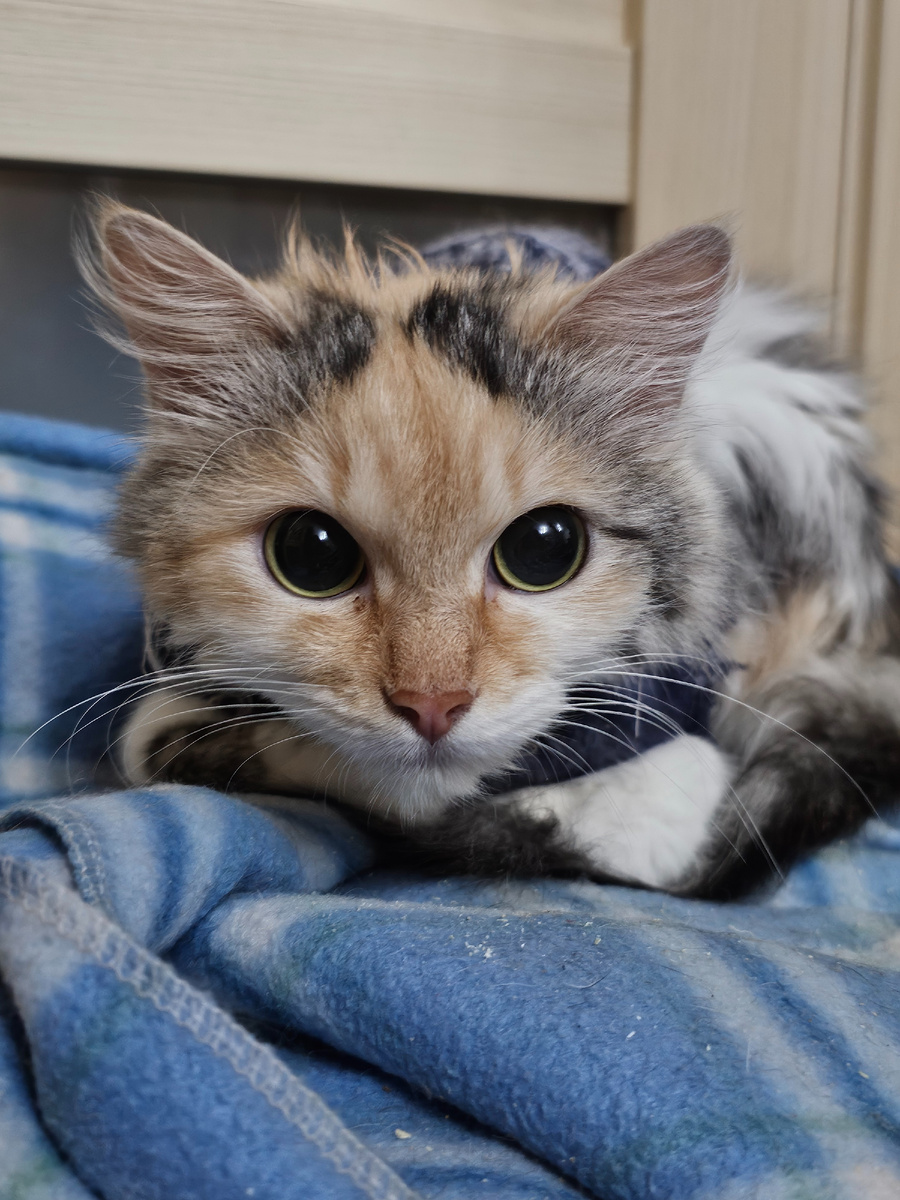 Одна из болеющих ФИП - Фасолька