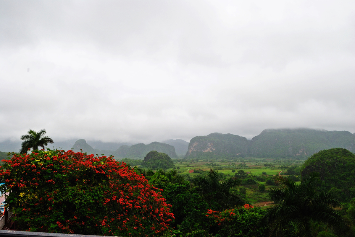 Те самые холмы, ради которых стоит забыть про «нормальный» интернет