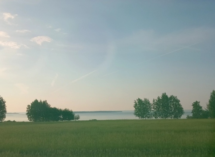 Поле на берегу водохранилища 🥰