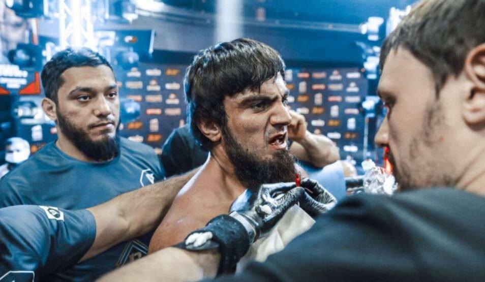    Фото: t.me/dogsfromthehood