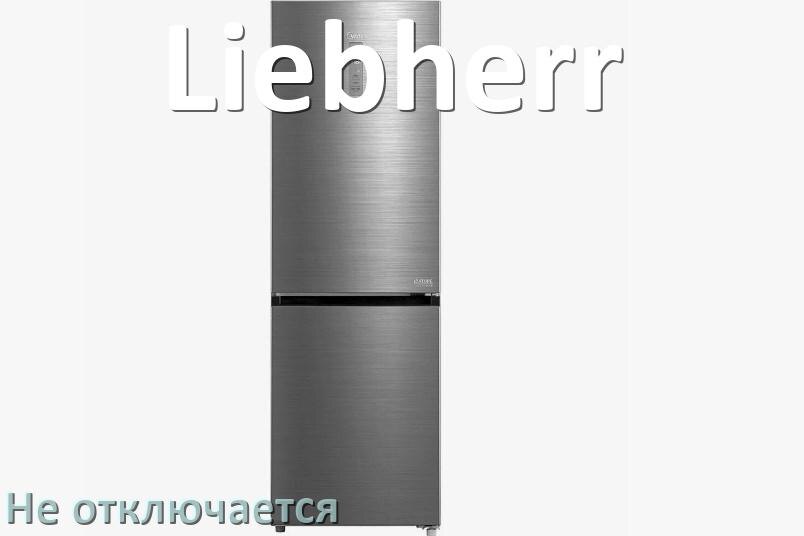 
Почему холодильник Liebherr не отключается и работает без остановки