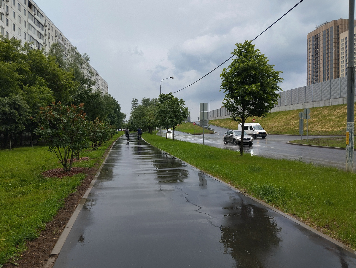 После дождя. ЗДЕСЬ и далее фото автора и(или) из личного архива автора, если не указано иначе.