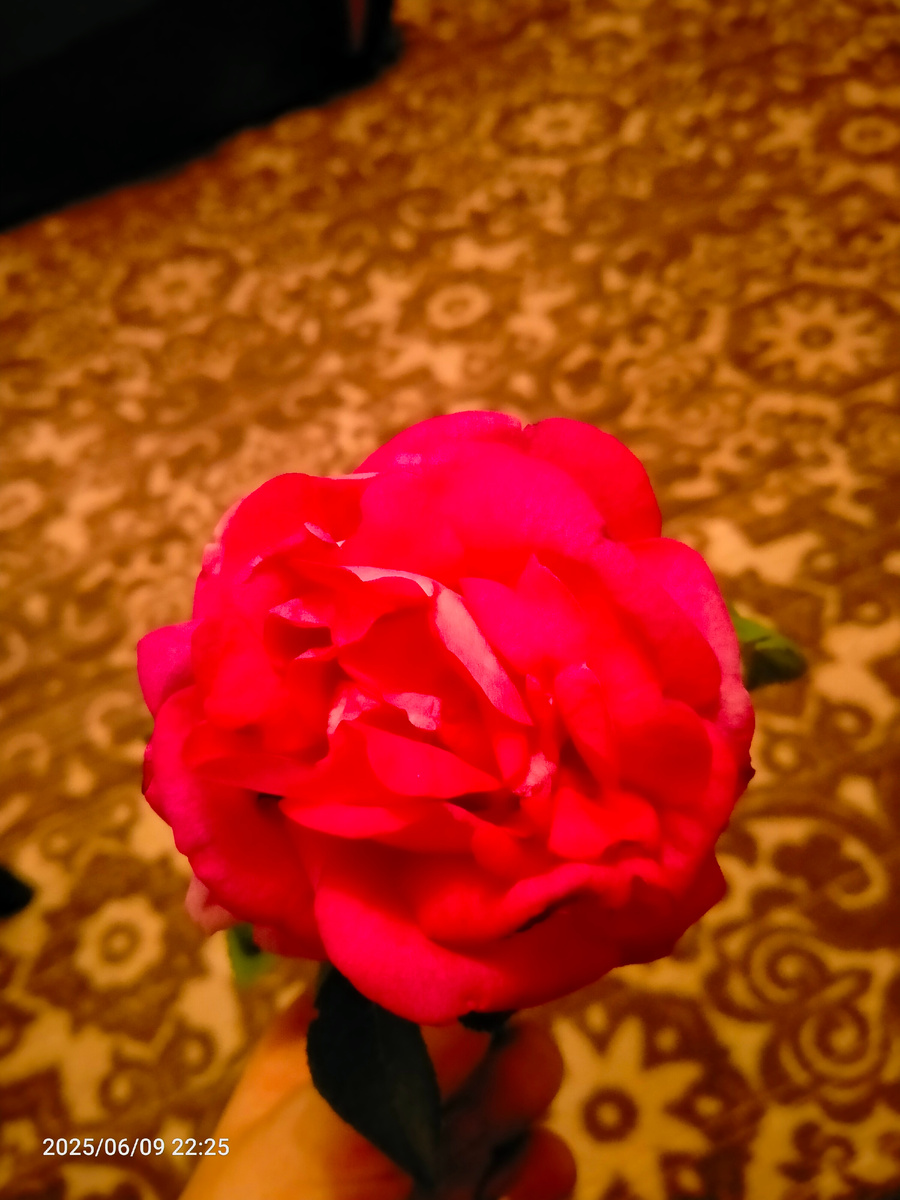 Фотография автора 