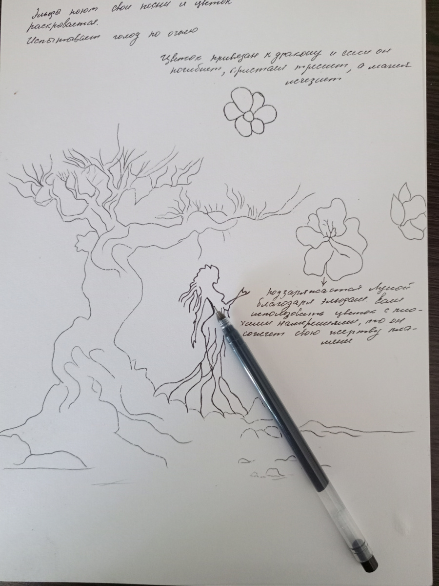 Иллюстрации Екатерины Бобовой