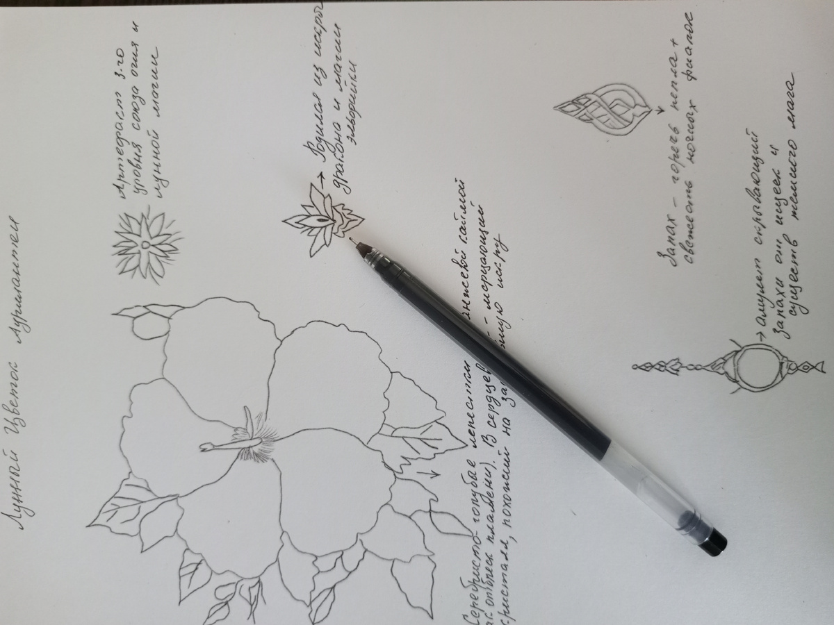 Иллюстрации Екатерины Бобовой