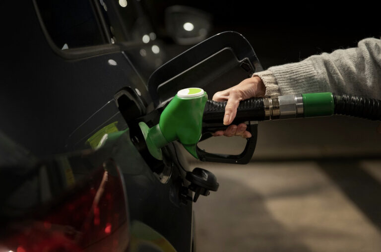    Фото: freepik.com/freepik Дмитрий Андреев