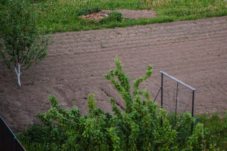    Фото: Общественная служба новостей Дмитрий Андреев