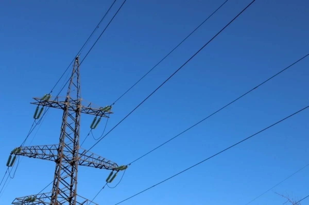    В Перми суд потребовал убрать электропровода над дачным участком