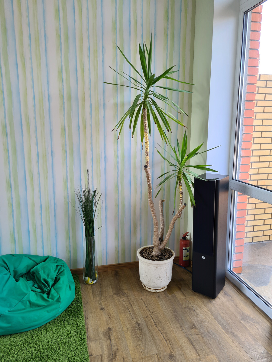 Плинтус зрительно увеличивает пространство пола, а вертикальный рисунок обоев делает выше потолок