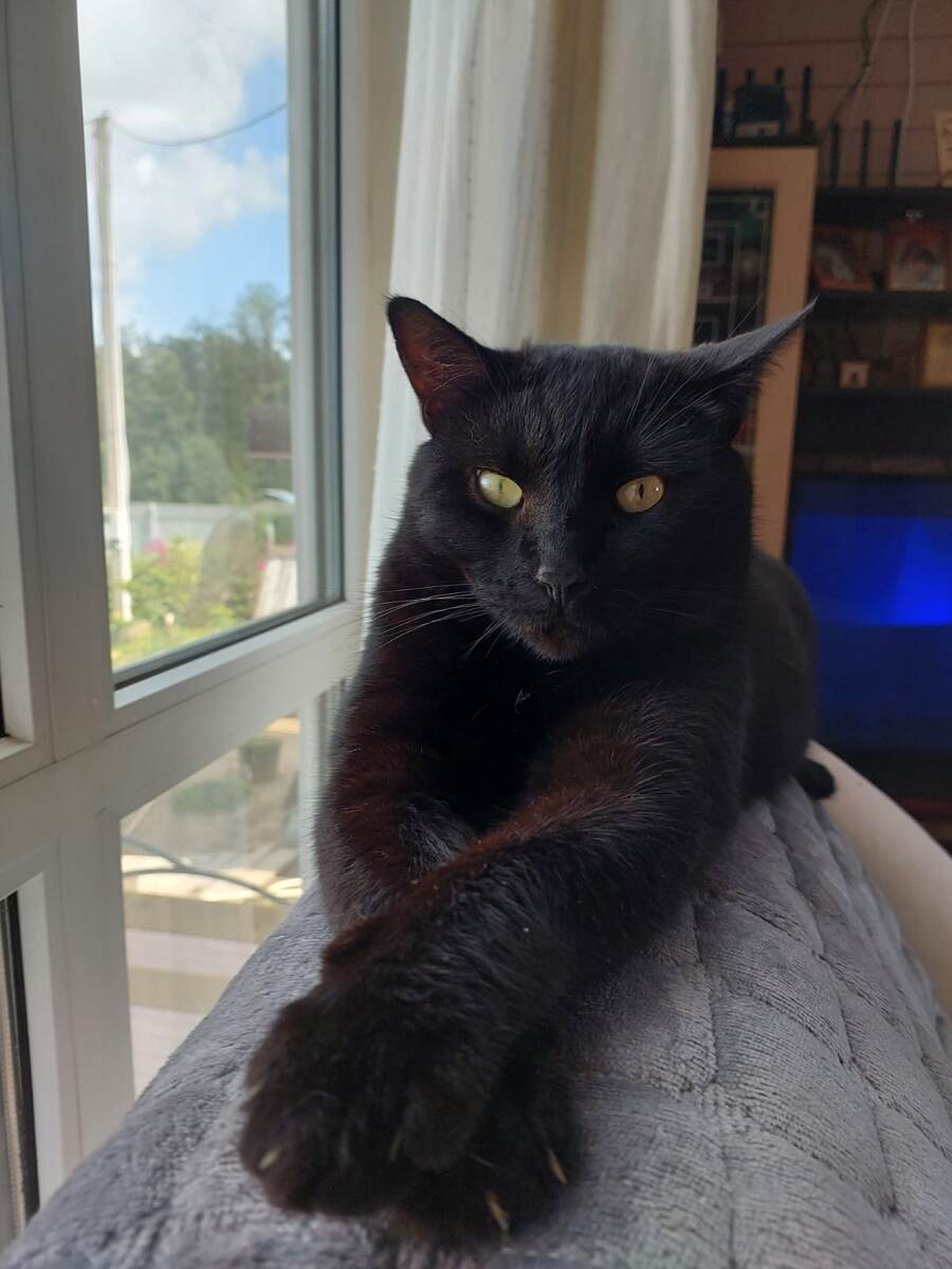 Фото из личного архива 