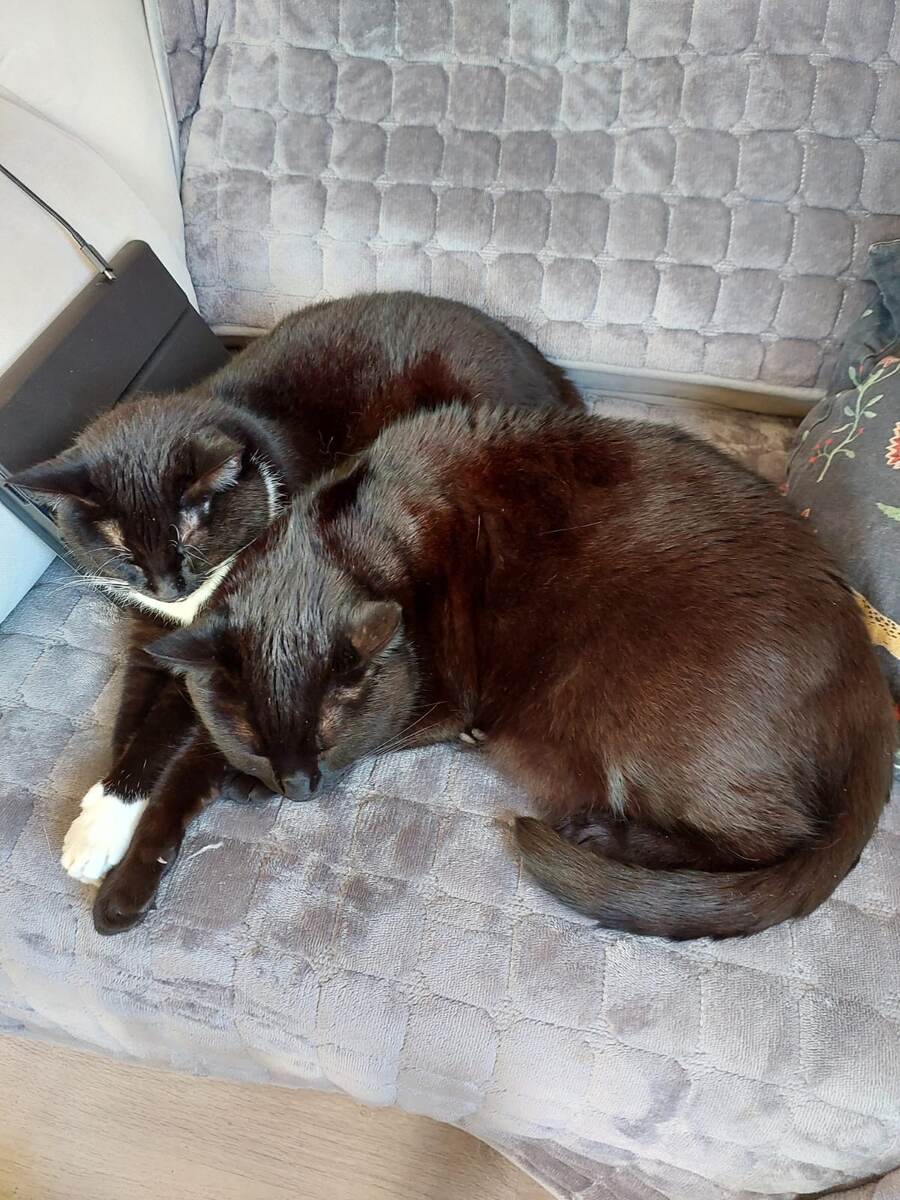 Миша спит с кошкой Бусей. Фото из личного архива