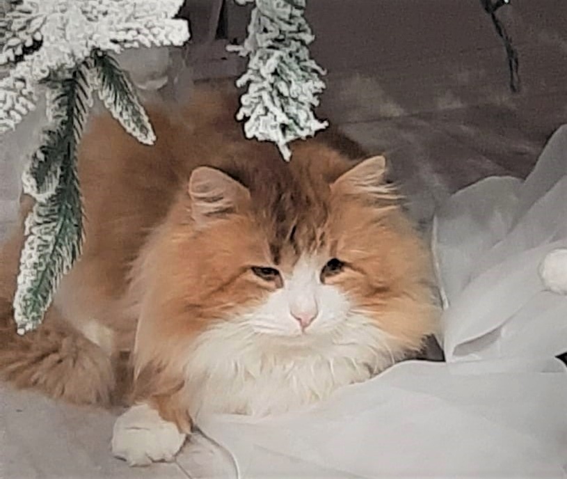    Фото: Никита Чудин. UG.RU