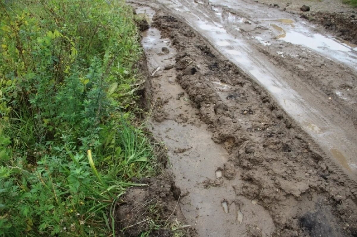    Школьники Сакмарского района опоздали на экзамены из-за размытой дороги