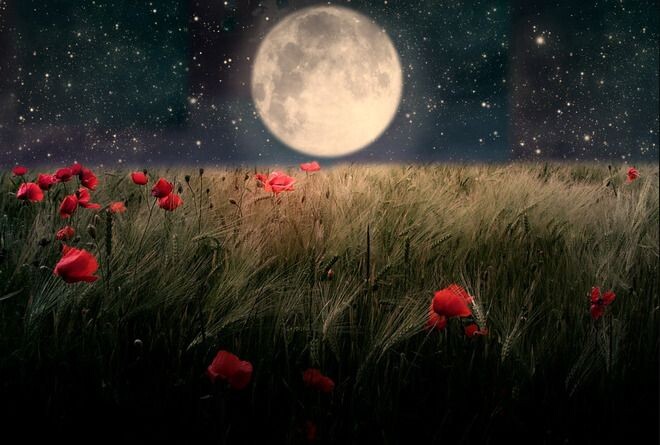 Губу луны обиженно припухла