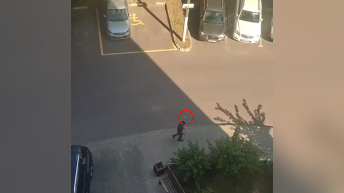 Автоор: В. Панченко