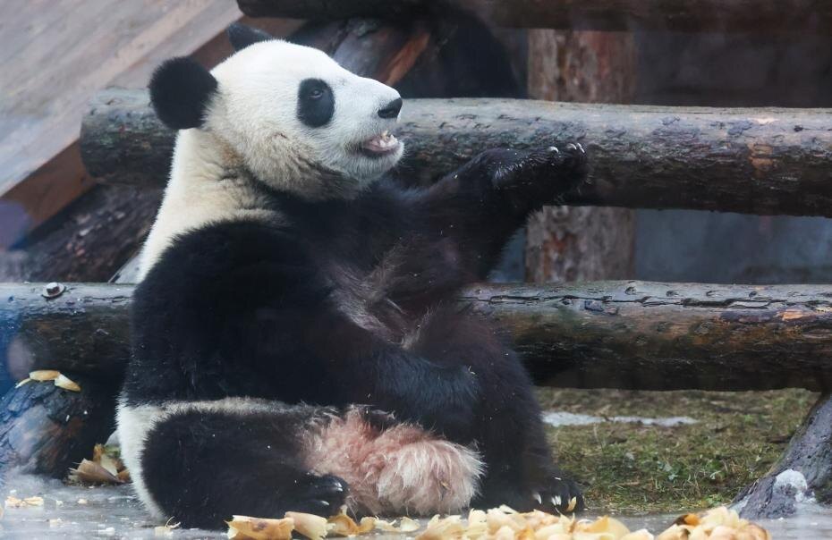    Алексей Белкин/NEWS.ru