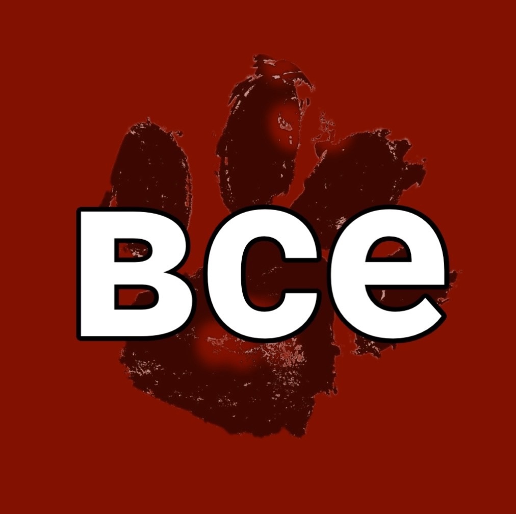 Мы совершенно пропали... 1 человек на огромный хоспис и нет корма!