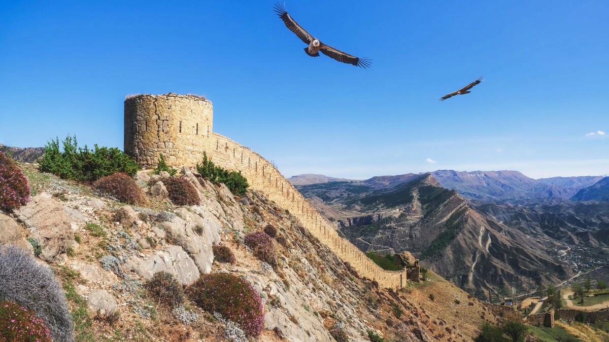    Фото: Stanislav71/Shutterstock/Fotodom