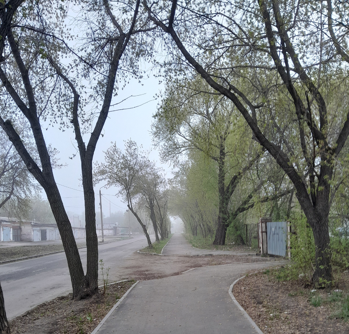 Туманное будущее...