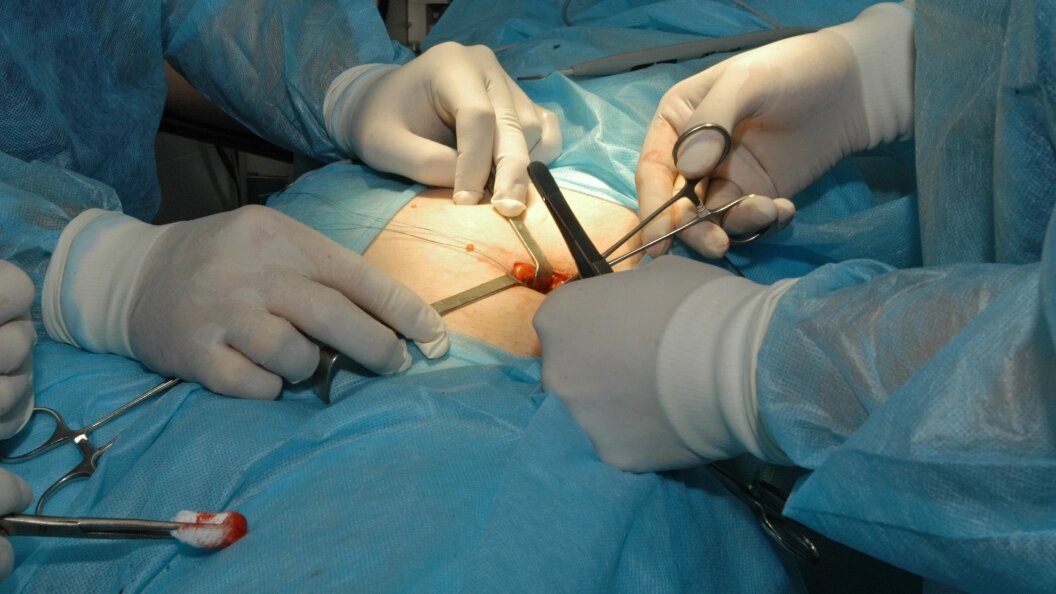    Фото: Alena Kalita/Globallookpress