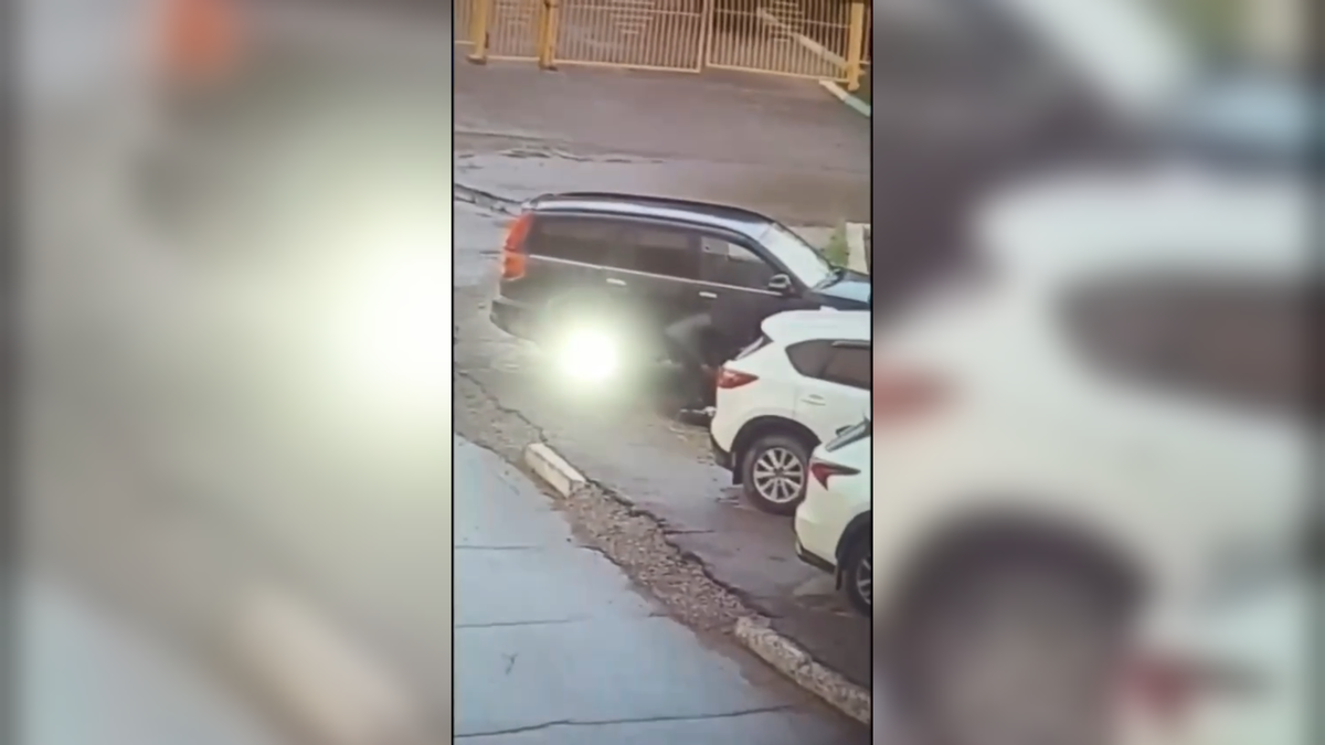 Автор: В. Панченко