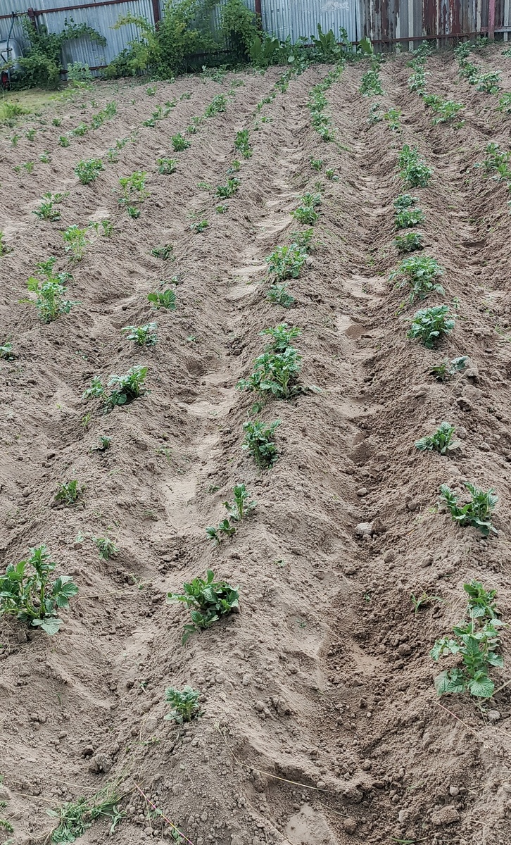 Моя работа вчера.