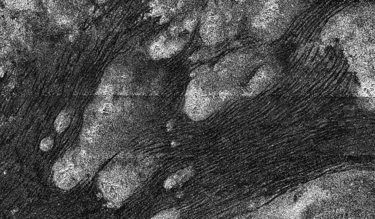 Шангри-Ла - песчаное море на Титане на снимке аппарата Кассини. Источник: https://science.nasa.gov/resource/flowing-dunes-of-shangri-la/