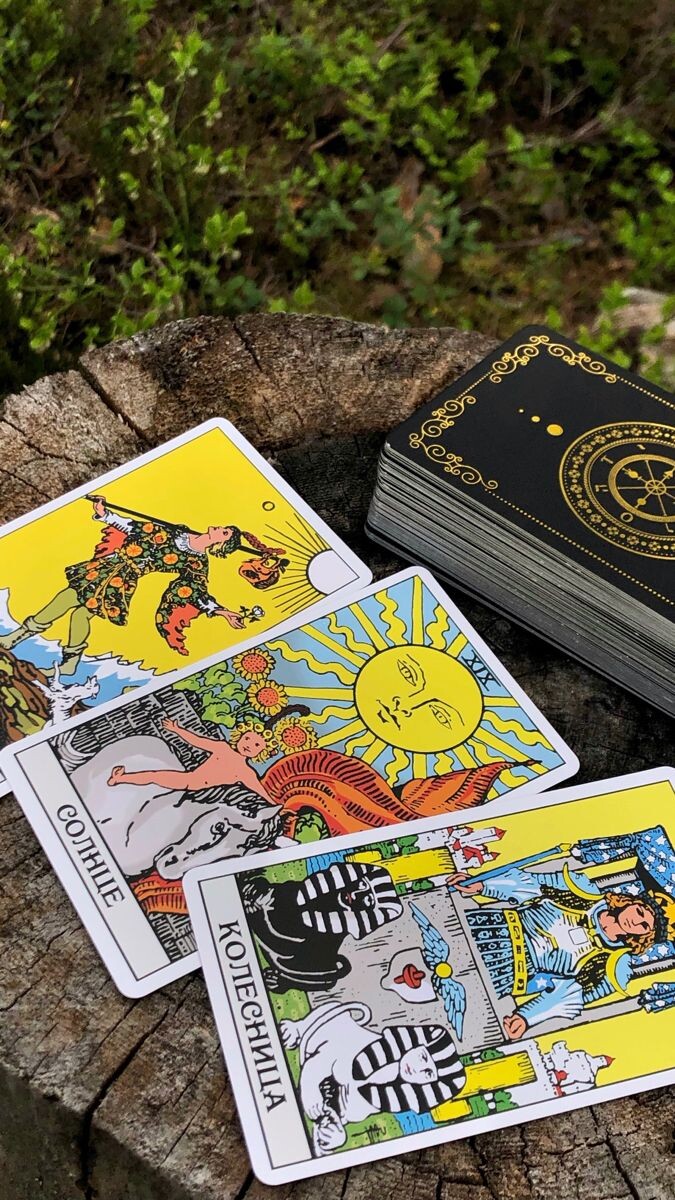 Фото открытого источника сети