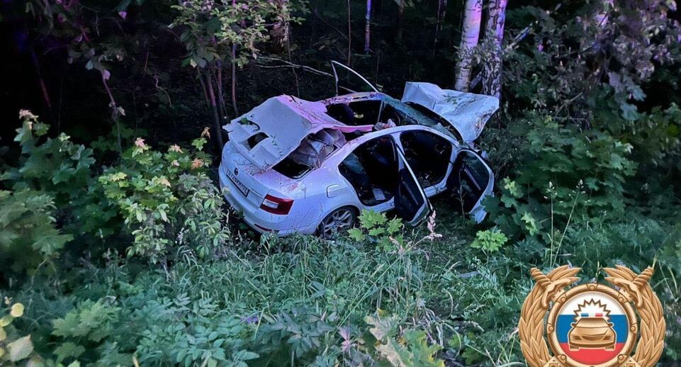    Госавтоинспекция Башкирии / Telegram