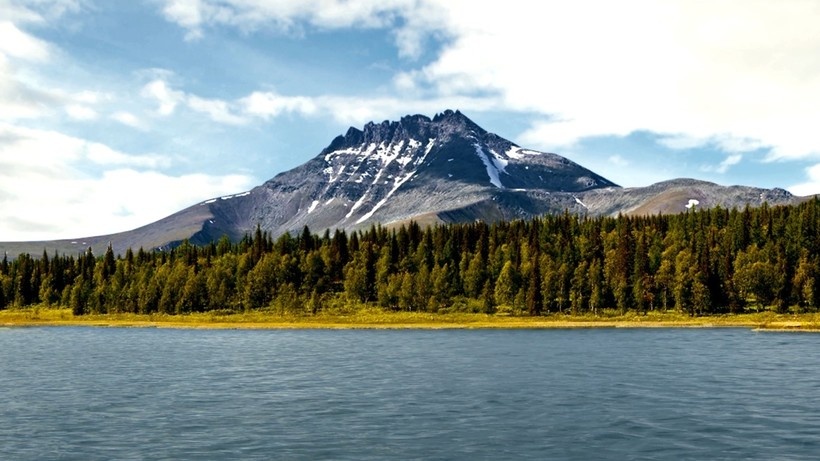 Фото из интернета 