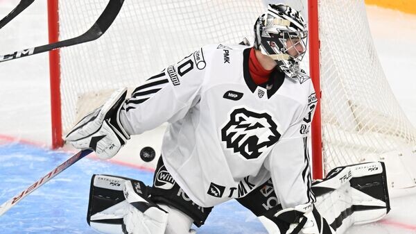    © Sputnik / Максим Богодвид