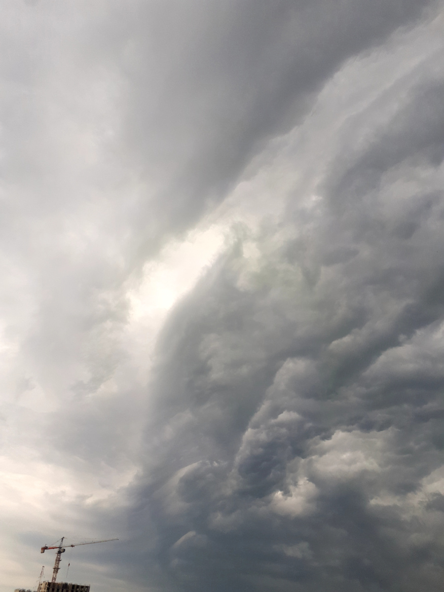 Фото автора статьи. 08.06.2025г.