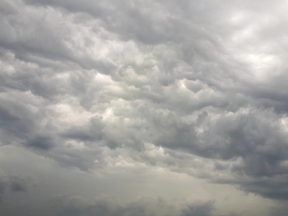 Фото автора статьи. 08.06.2025г.