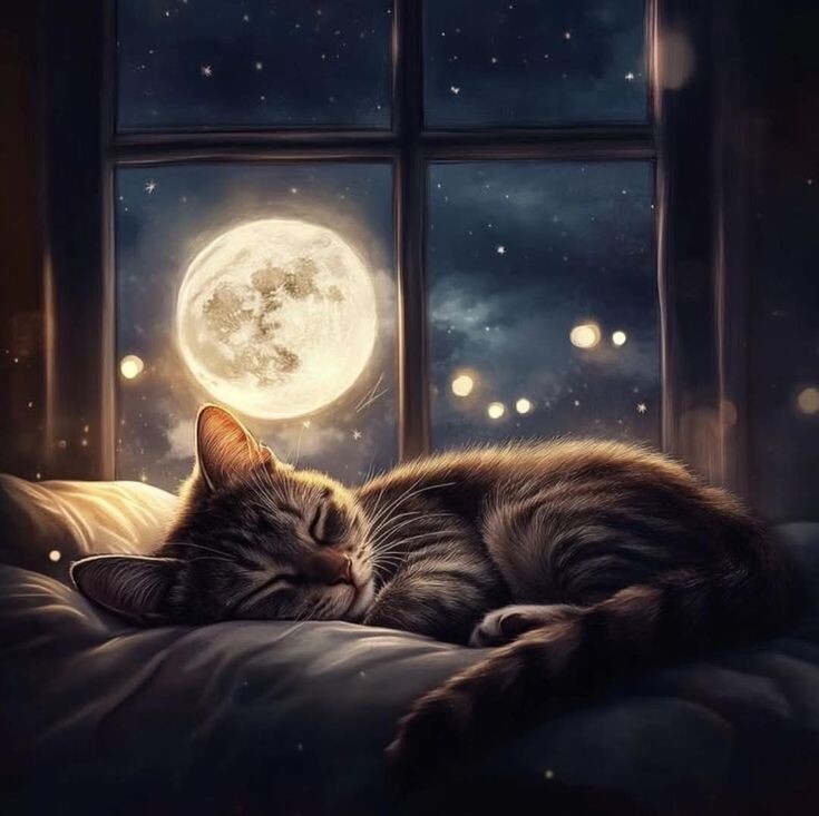 Картинка из свободного доступа 