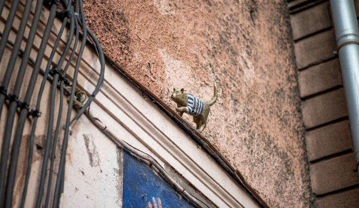 Фото из свободных источников. 