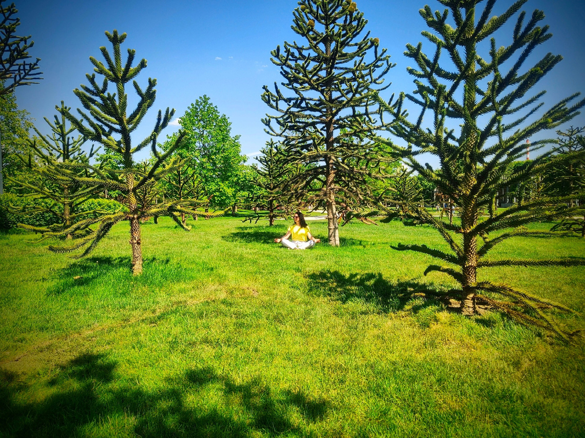 Фото 2024 года