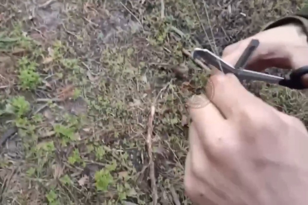    Фото © Telegram / «Военный осведомитель»