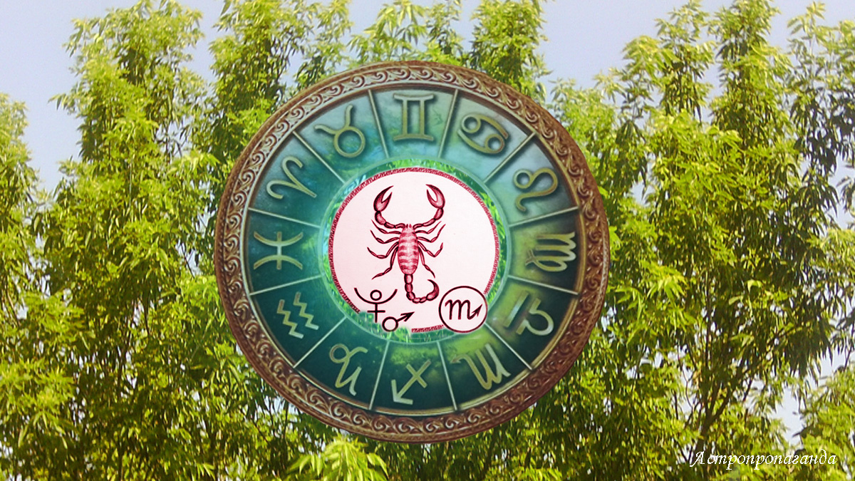 Гороскоп для Скорпиона со 2 по 29 июня 2025. 